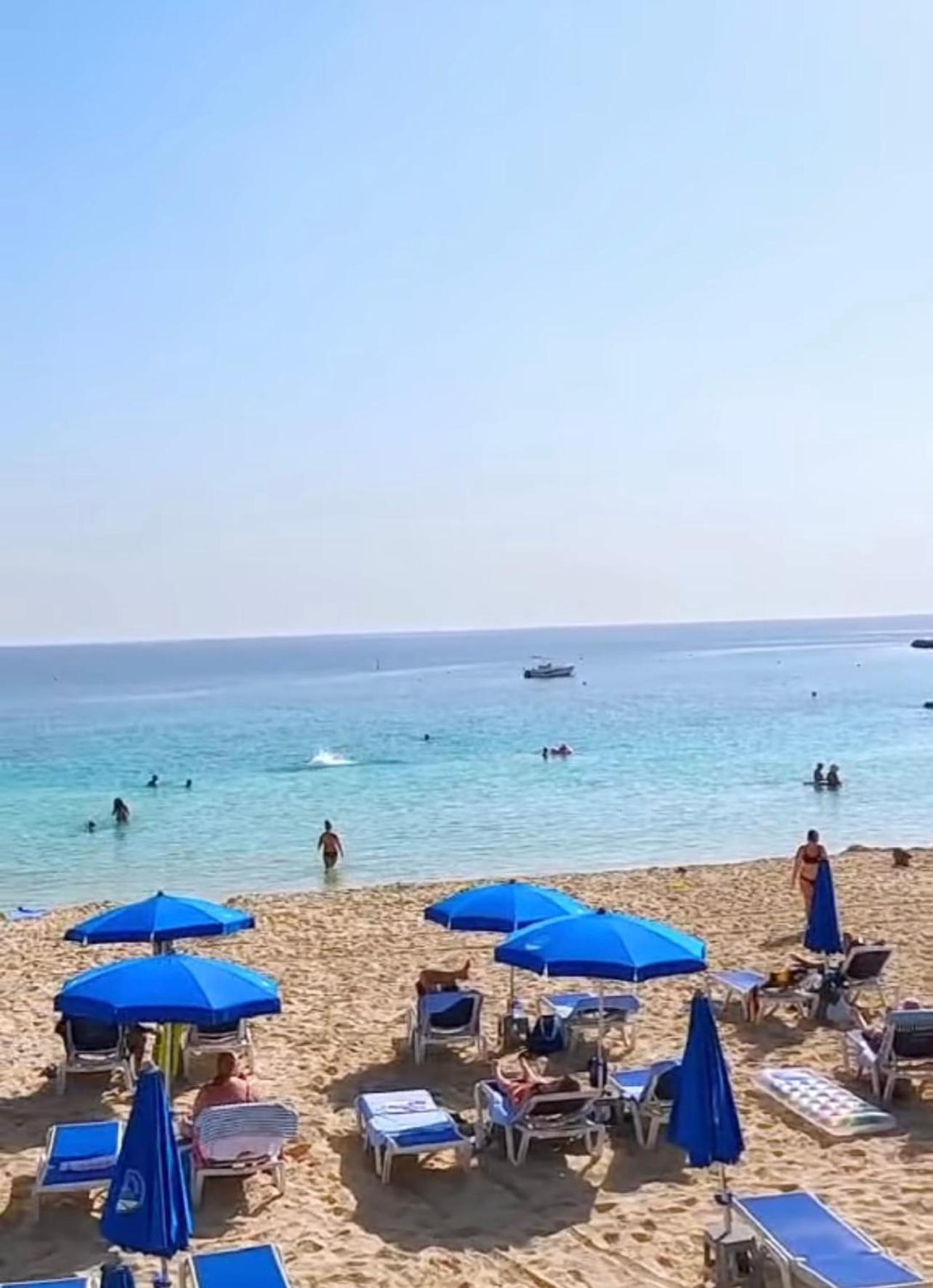 Nissi Elena -Sunshine Apt Αγία Νάπα Εξωτερικό φωτογραφία